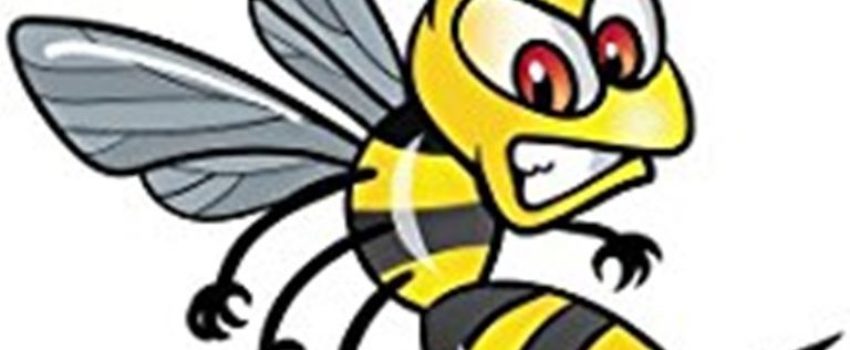 Insektenbekämpfung