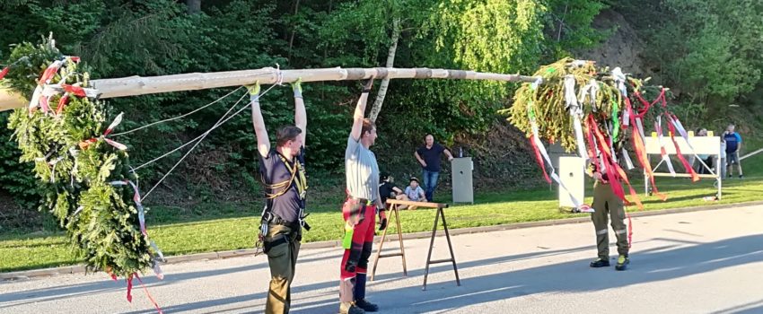Maibaumaufstellen am 30.5.2018