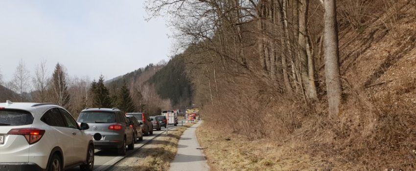 Baumbergung 12.02.2019