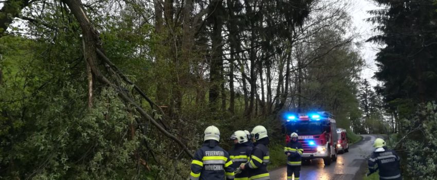 Sturmschäden 13.05.2019