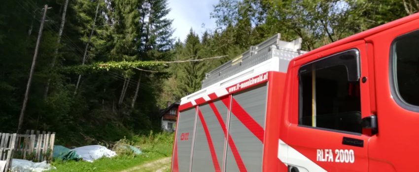 Baum über Stromleitung