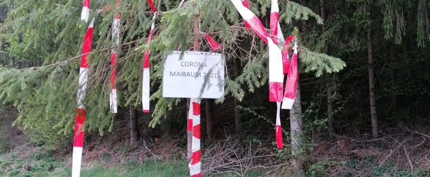 Maibaum 2021