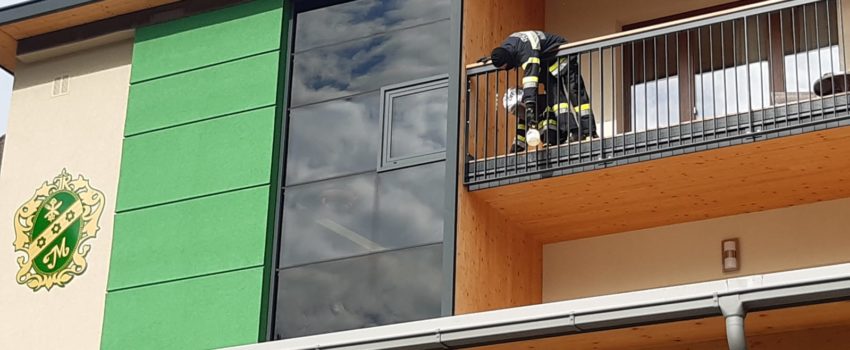 Insektenbekämpfung 28.08.2021