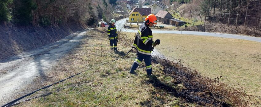 Böschungsbrand vom 13.03.2023