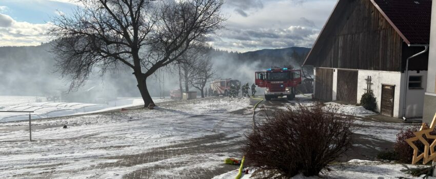 Brandeinsatz vom 10.01.2026