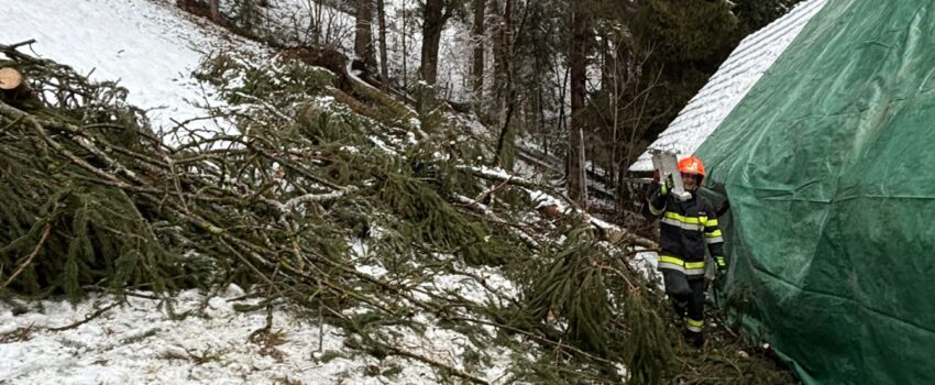 Schneeeinsätze vom 20.02.2026
